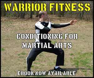 Warrior Fitness: Conditioning for Martial Arts eBook