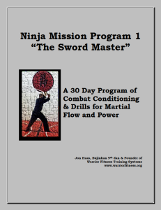 Ninja Mission Cover